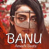 Ameen Beats — Banu — обложка