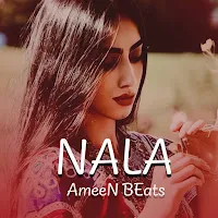 Ameen Beats — Nala — обложка